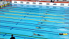 В Бресте стартует чемпионат Беларуси по плаванию