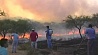 Лесные пожары бушуют в центральных и южных провинциях Чили
