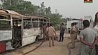 22 пассажира автобуса сгорели заживо в Индии