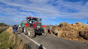Заблокированные дороги и "навозная демонстрация" - во Франции не прекращаются протесты фермеров