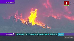 От Португалии до Франции - в Европе борются с лесными пожарами