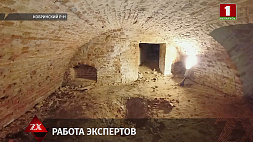 Останки 20 человек нашли в подвале храма в Кобринском районе 