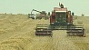 Аграрии Минской области уверенно ведут массовую уборку зерновых