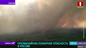 Площадь лесного пожара в Нижегородской области за сутки увеличилась на 410 гектаров