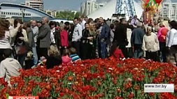 В Беларуси продолжаются массовые гуляния 