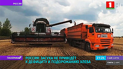 Засуха не приведет к дефициту и подорожанию хлеба в России
