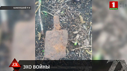 Гранату времен Великой Отечественной обнаружили в Каменецком районе