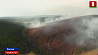 Основная причина природных пожаров в Сибири - неосторожное обращение с огнем