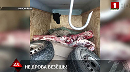 2,5 тонны мяса перевозили с нарушением санитарных норм из Лидского района в Минский