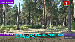Начало осени в Минской области проходит под знаком благоустройства деревень, агрогородков и райцентров, а также порядка на земле