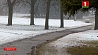 В Беларусь идут сильные снегопады. Синоптики объявили оранжевый уровень опасности