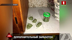 Наркоконтроль Гродно задержал двух сварщиков с марихуаной