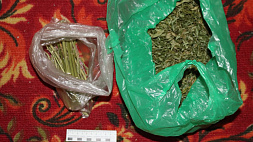 В Гомельском районе пограничники задержали наркодельцов с 40 кг марихуаны