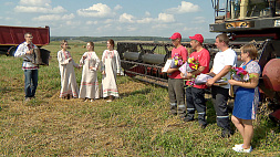 Уборочная-2023: в Минской области лидеров жатвы по намолоту по доброй традиции награждают сразу в поле