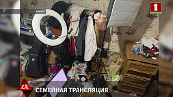 Супруги из Минска проводили онлайн-трансляции своего интима за деньги