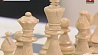 В Гомеле во Всемирный день блондинок провели необычный шахматный турнир