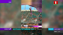 Флаг спас кота во время спортивного матча в Майами
