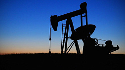 CNN: США отговаривают страны ОПЕК+ от сокращения добычи нефти 
