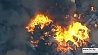 В Австралии не могут справиться с распространением лесных пожаров