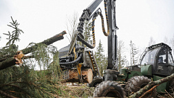 Рекордное количество лесозаготовительной техники обновил Минлесхоз в 2021 году