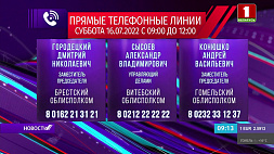 16 июля во время субботних прямых телефонных линий белорусы могут решить свои вопросы