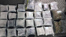 8 тонн кокаина обнаружили в испанском порту 