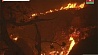 На севере Израиля продолжают бушевать лесные пожары