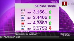 Курсы валют на 25 января: ситуация с российским рублем изменилась 