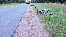 Трактор сбил велосипедистов, которые ехали по обочине в Вороновском районе