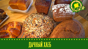 Дачный хлеб | Как правильно подготовить хризантему к высадке после зимовки? 