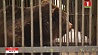 В столичном зоопарке проснулся медведь Тристан