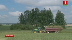В Беларуси аграрии приближаются к первому миллиону тонн зерна