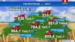 Белорусские аграрии убрали 46% площадей