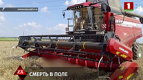 В Чериковском районе работник сельхозпредприятия получил смертельную травму