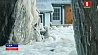 Возле озера Онтарио прибрежные дома превратились в ледяные скульптуры