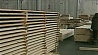 Беларусь будет поставлять древесину на экспорт только после глубокой переработки