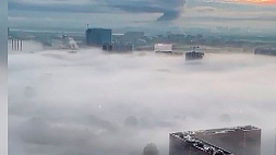 Москву накрыл густой туман - отменены более десятка авиарейсов