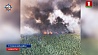 Возгорание в районе Ольманских болот локализовано
