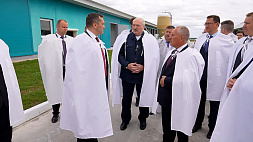 Лукашенко в ходе рабочей поездки в Оршанский район ознакомился с ситуацией в АПК и предложил перспективную бизнес-идею