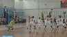 Солигорский "Шахтер" возвращает интригу финальной серии чемпионата Беларуси по волейболу