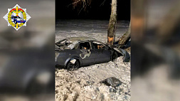 ДТП под Чаусами - машина врезалась в дерево и загорелась, погибли 3 девушки