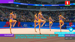 Беларусь  готова принимать этап Кубка мира  по художественной гимнастике 