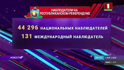 Количество аккредитованных наблюдателей на референдуме по Конституции Беларуси - 131 международный и 44 296 национальных