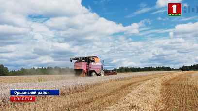 Более трех десятков экипажей в Витебской области преодолели тысячный намолот зерна