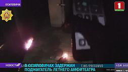 В Осиповичах задержан поджигатель летнего амфитеатра