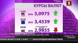 Курсы валют на 3 марта: российский рубль продолжает падать
