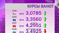 Курсы валют на 23 ноября: белорусский рубль ослаб к доллару