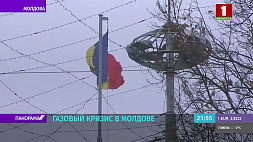 В Молдове газовый кризис, а в ЕС подскочила цена на древесные пеллеты 