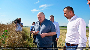 Критическая оценка и положительный результат - Александр Лукашенко проинспектировал ход уборочной 