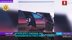В ДТП на трассе Минск - Гомель 2 человека погибли, 5 пострадали